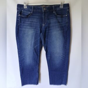 Arizona Jean Co. JR Womens Straight Leg Cropped Raw Hem Dark Wash Size 15